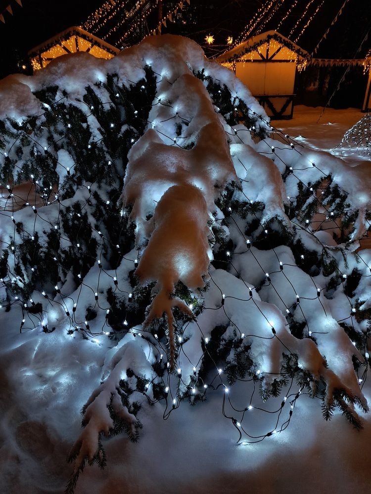 Photograph by Юрий Бирюков