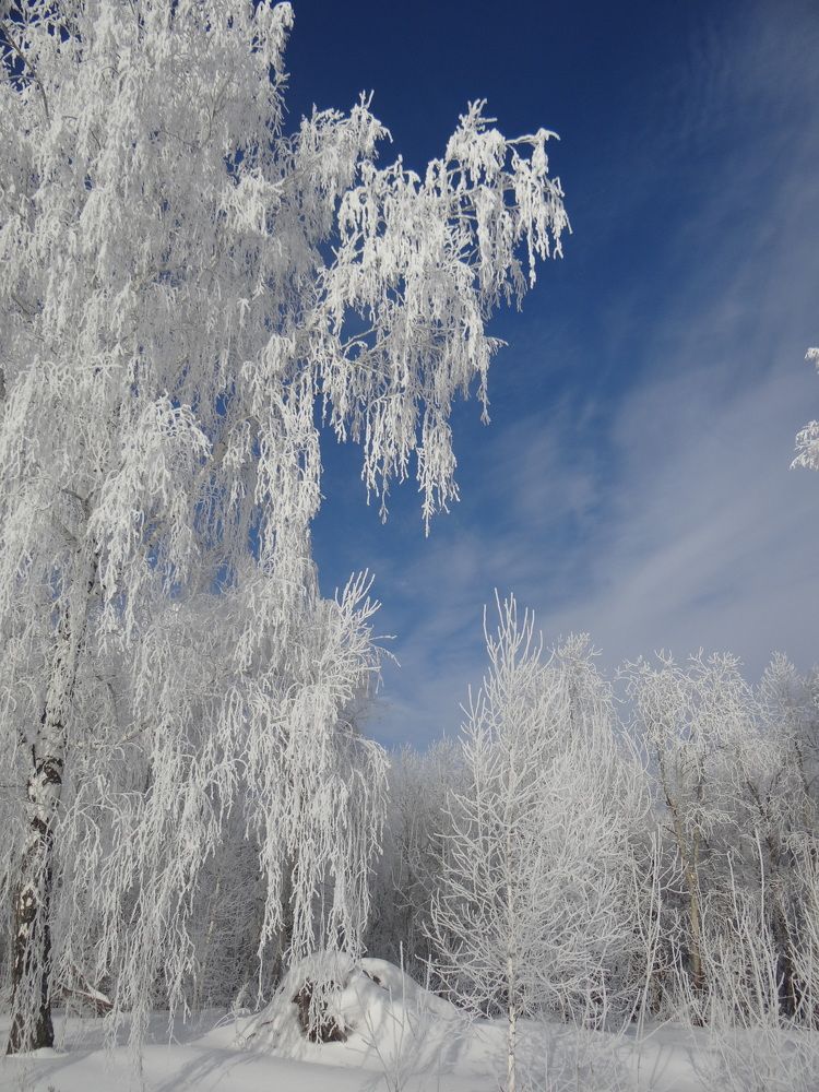 Photo #10162683