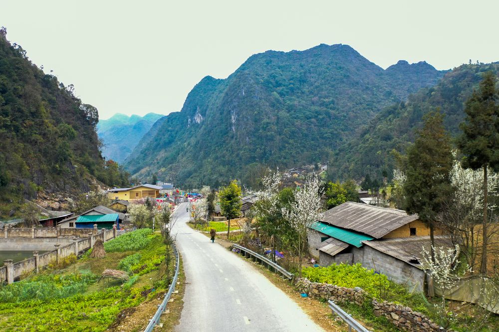 Xuân vùng cao