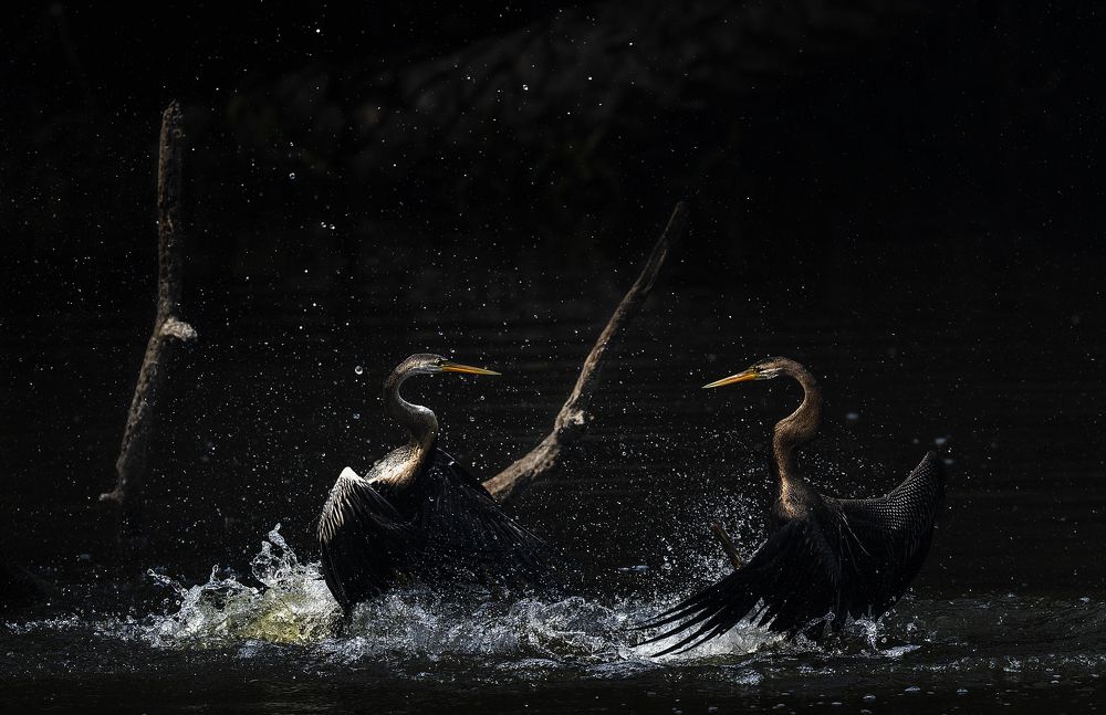 Photograph by Rahul Dev