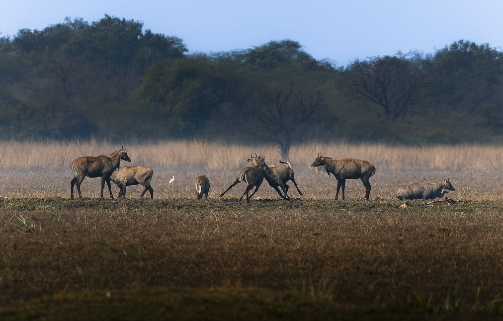 Photograph by Rahul Dev