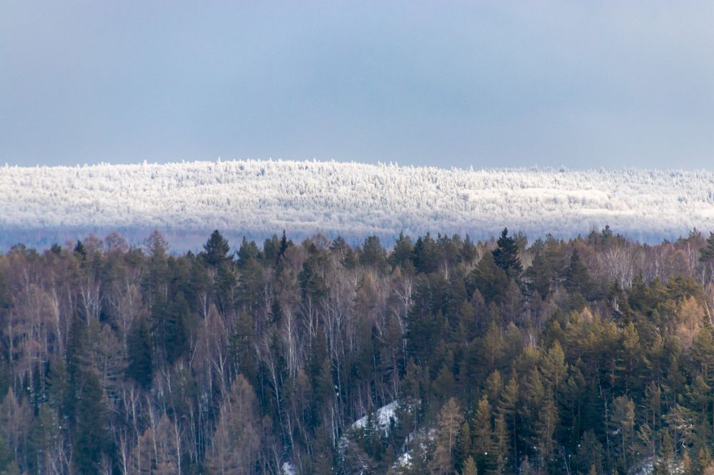 Photograph by Константин Чижов