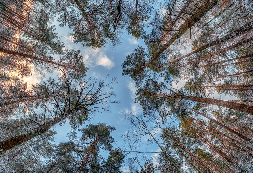 Photograph by Сергей Дишук