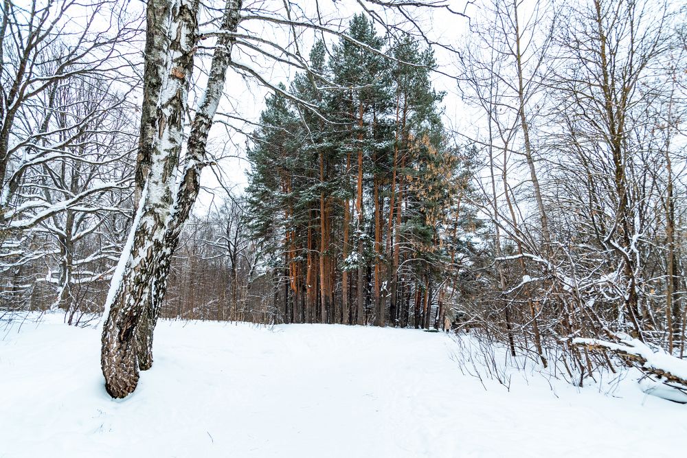 Photograph by Алексей