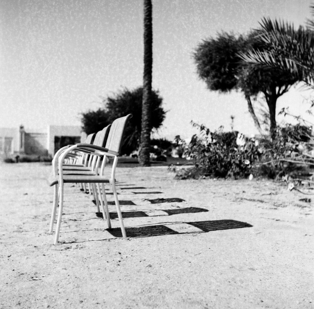 Photograph by Леонид