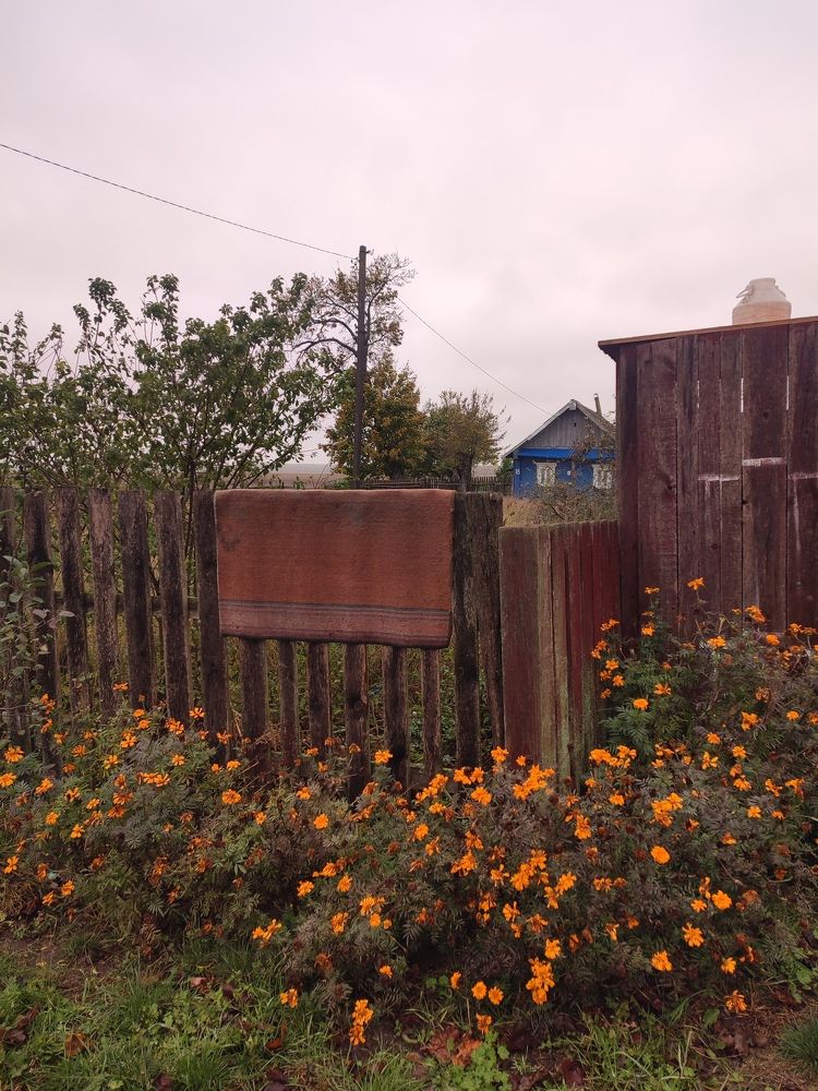 Фотография автора Татьяна Могилевец