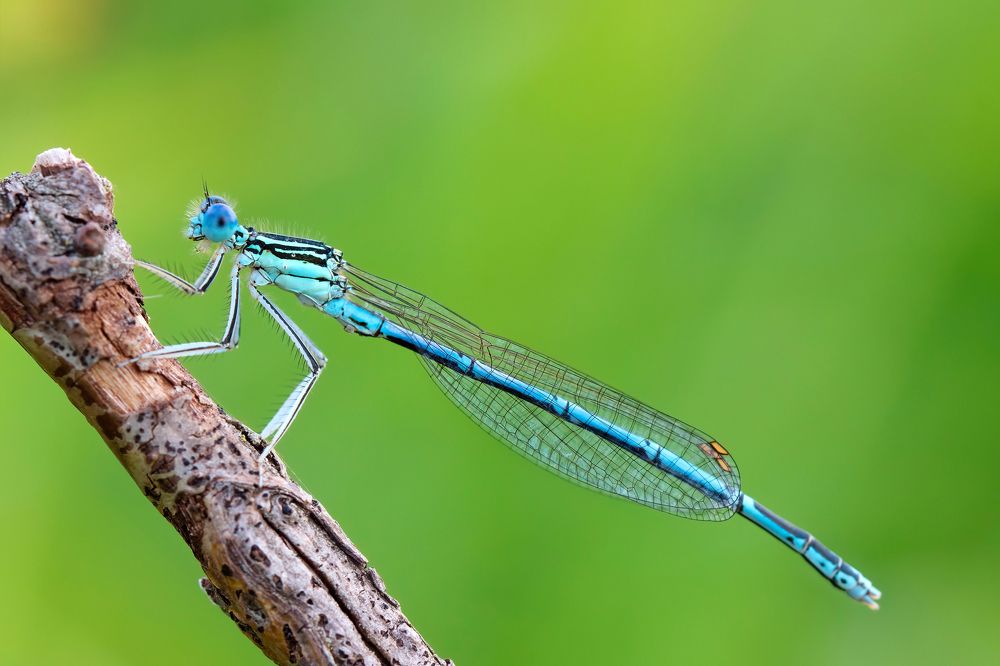 Фотография автора Александр Сурков