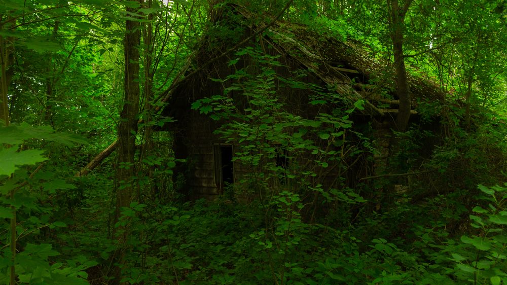 Photograph by Онейра Скриптор