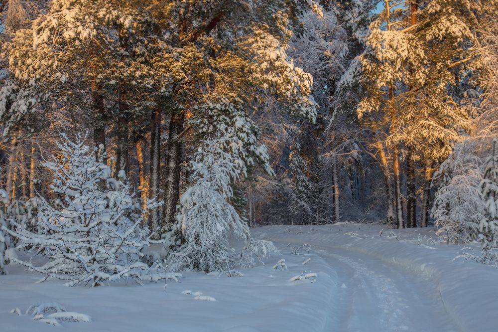 Photograph by Дмитрий Алексеев
