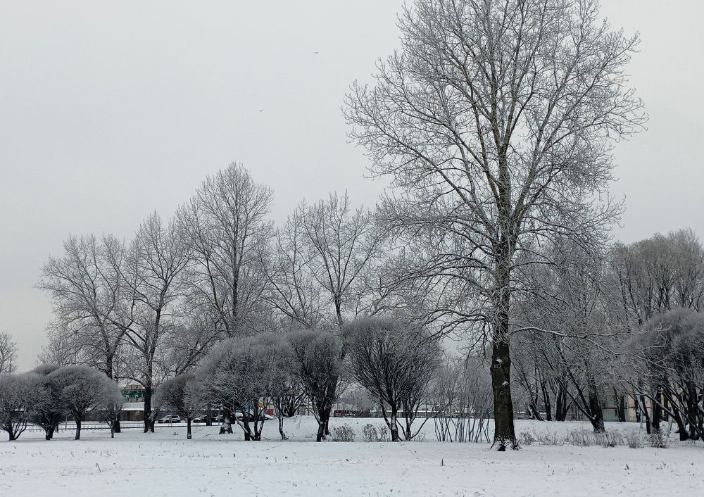 Photograph by Светлана Попкова