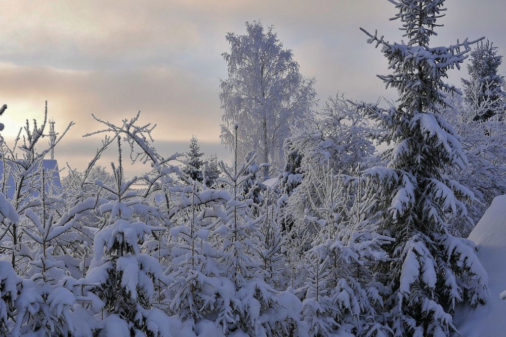Photograph by Александр Пинаев