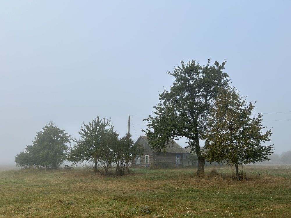 Photograph by Александр