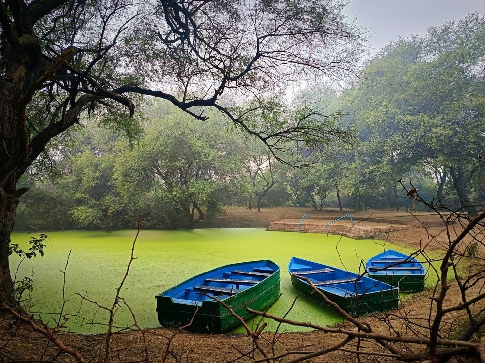 Photograph by Aman Chaudhary