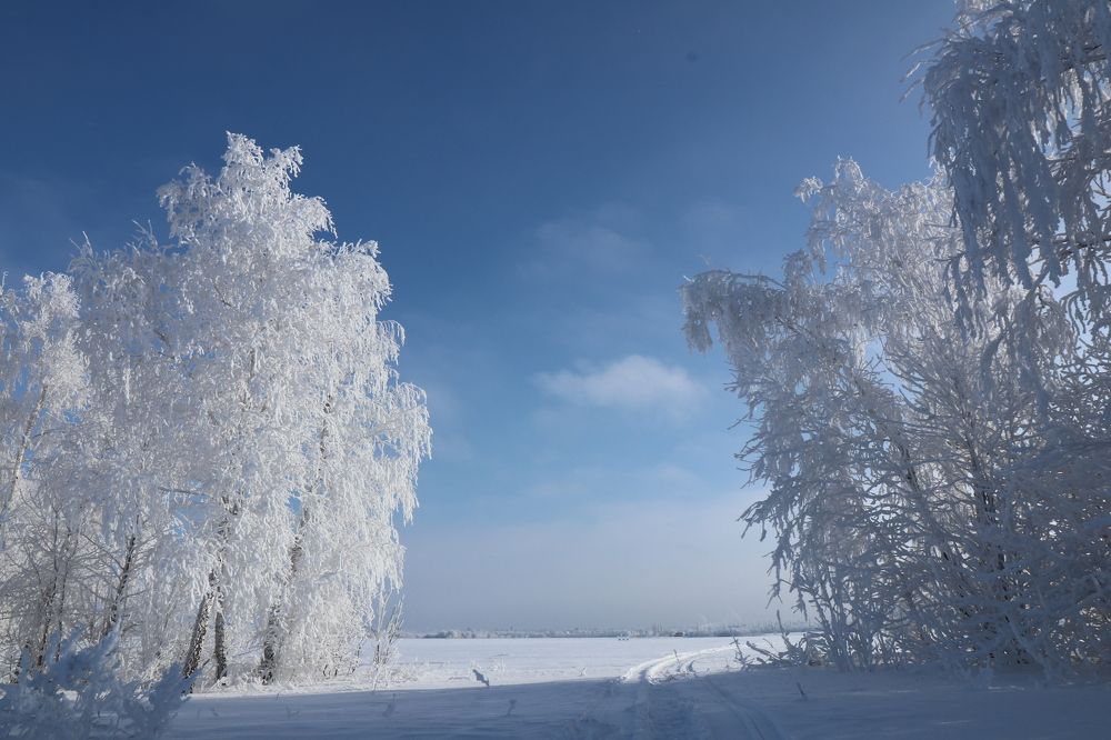 Photograph by Андрей Хитрун