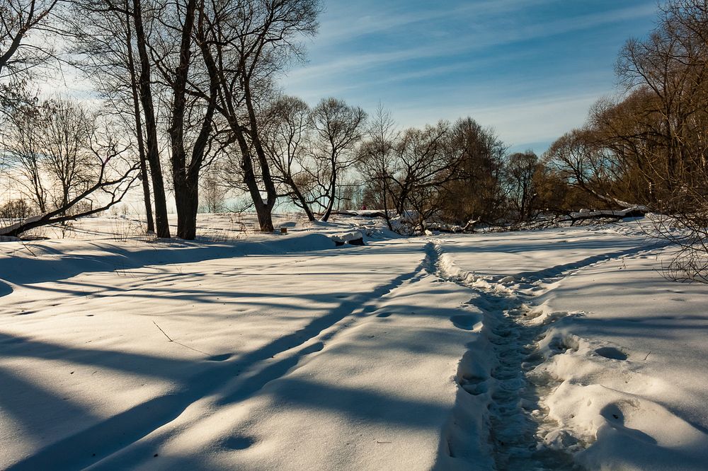 Фотография автора Виктор Парщиков