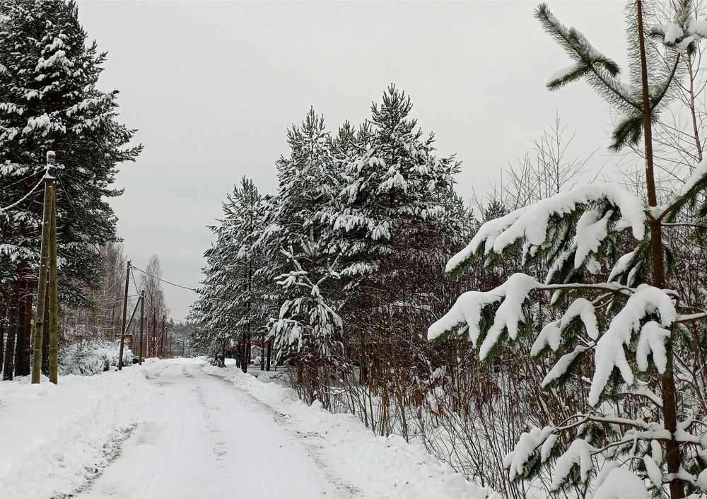 Photograph by Светлана Попкова