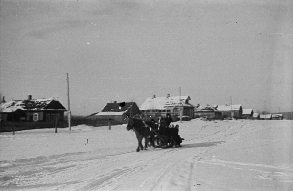 Photograph by Владимир Малёшин