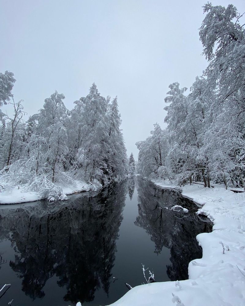 Photograph by Виталия