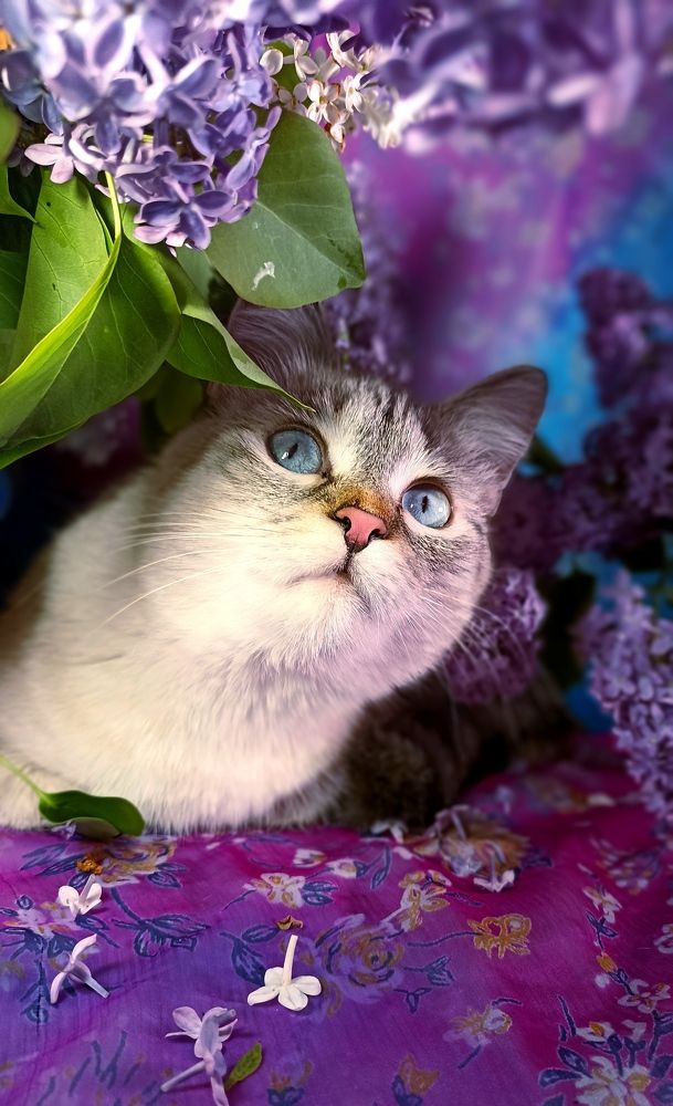 Photograph by Олеся Лосыгина