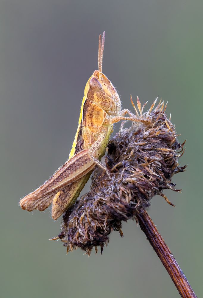 Photograph by Глеб Коровко