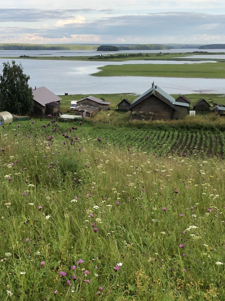 Photograph by Мария Бессмертная