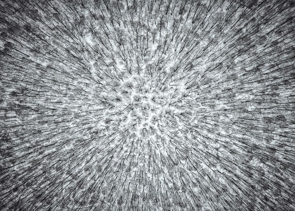 Photograph by Алексей Коврижных