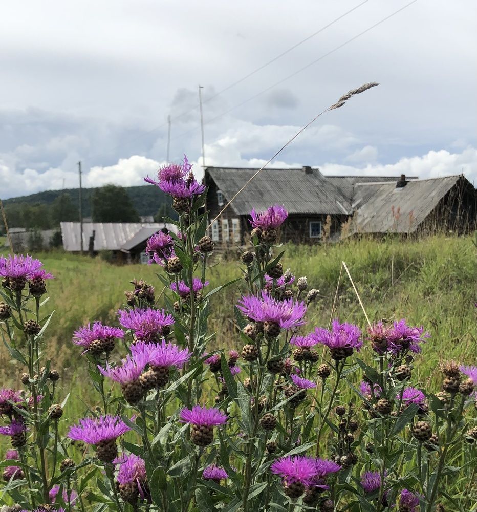 Photograph by Мария Бессмертная