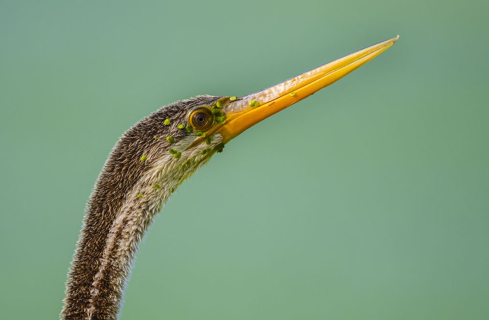 Photograph by Rahul Dev