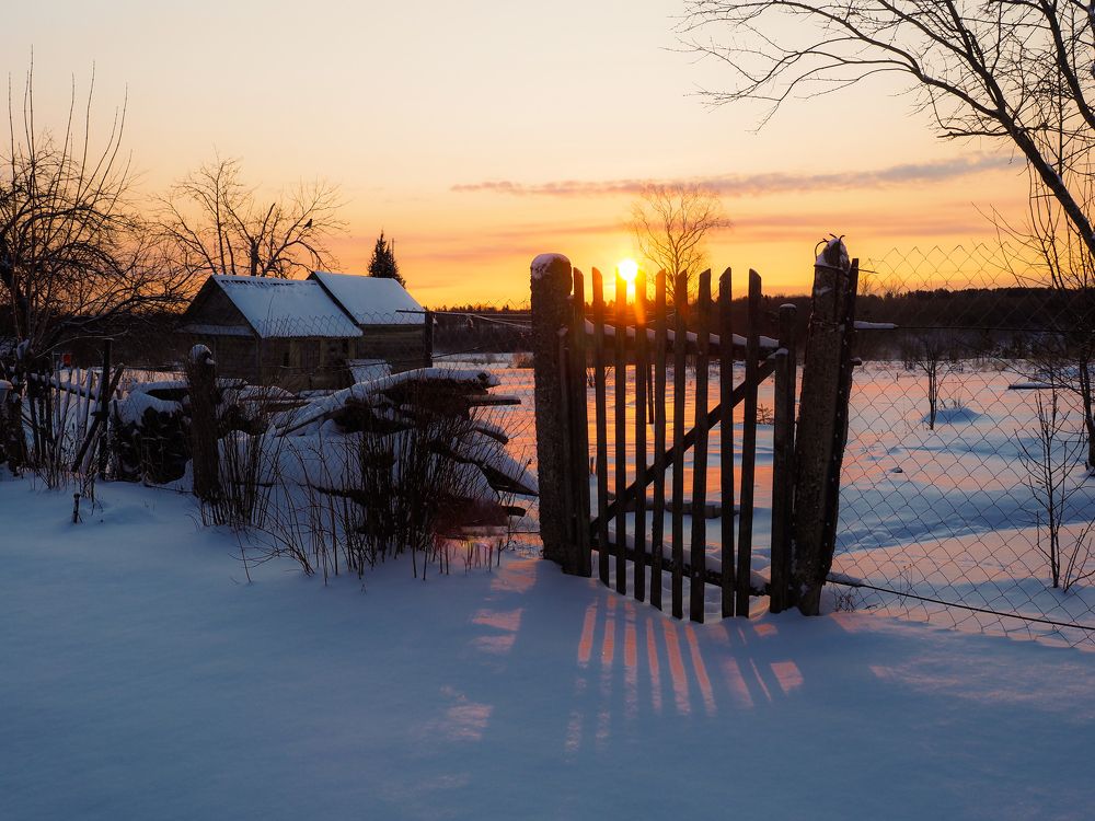 Зимний рассвет