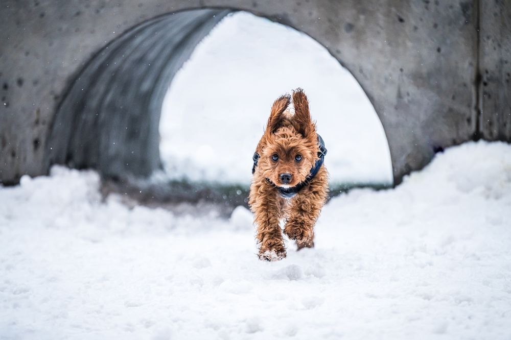 Photograph by Agnieszka Wieczorek