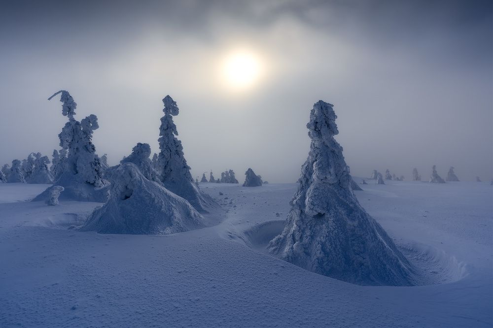 Фотография автора Peter Dužek