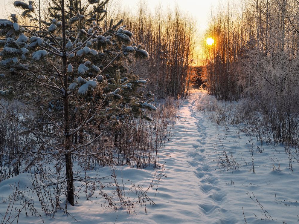 Photograph by Сергей Гаврилов