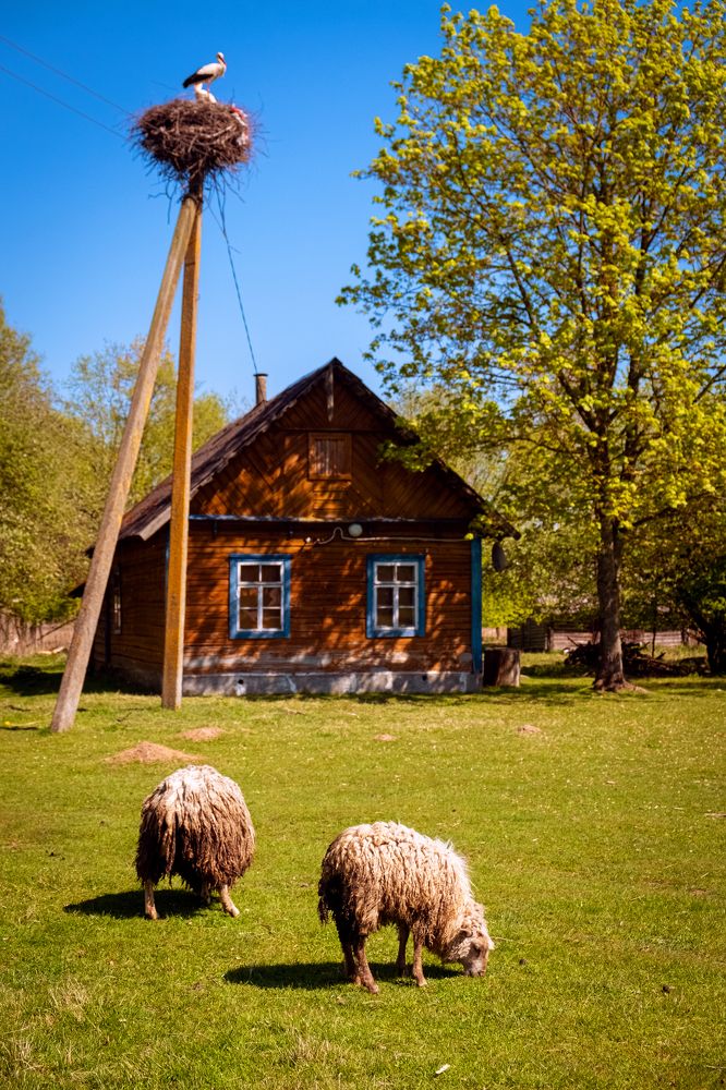 Photograph by Наталия Морозова