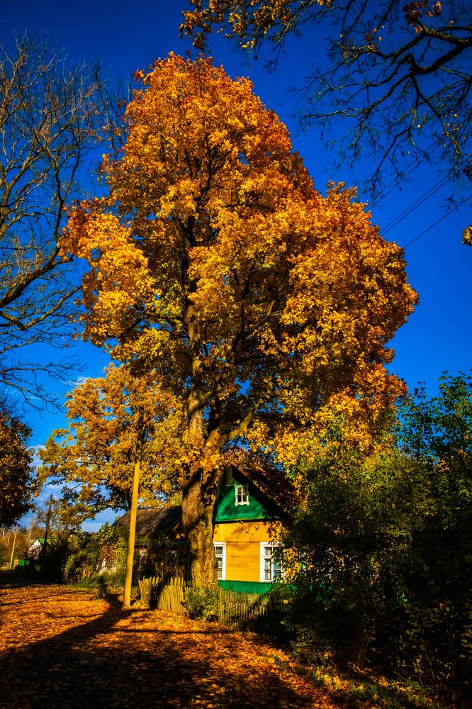 Photograph by Наталия Морозова