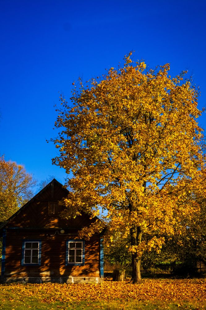 Photograph by Наталия Морозова