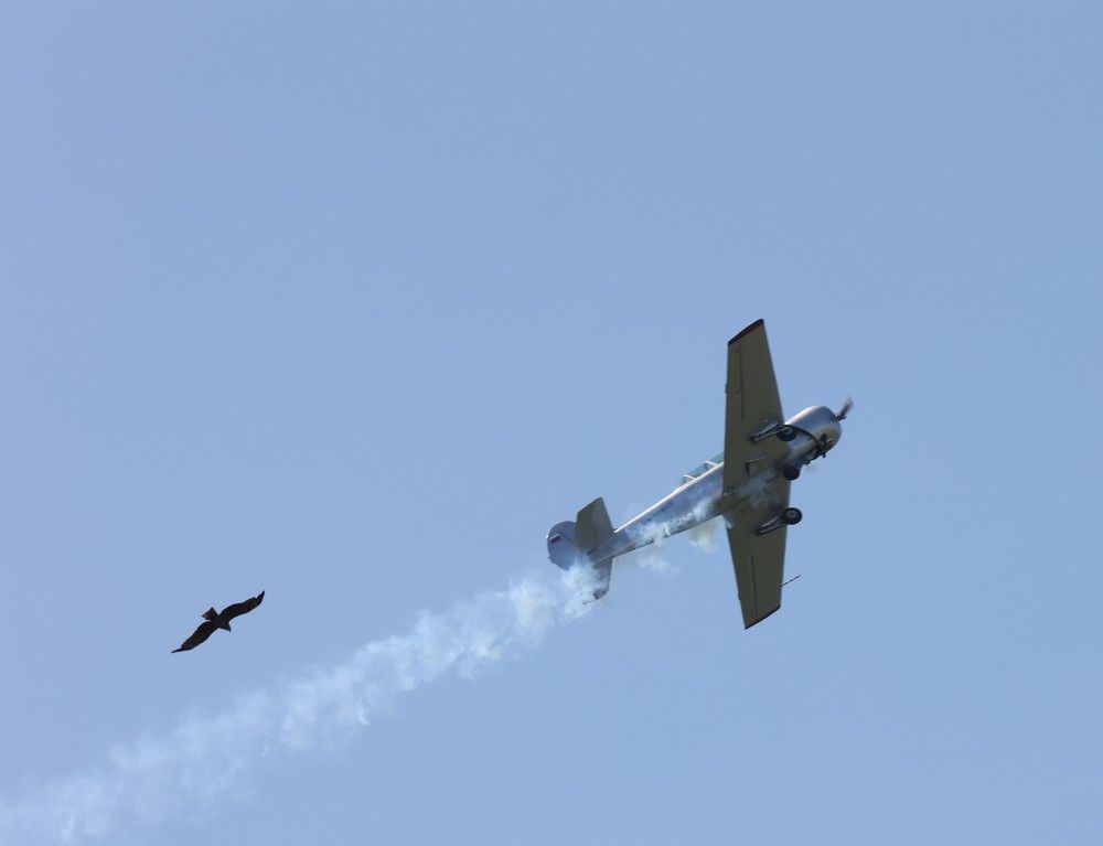 Photograph by Щепанов Дмитрий