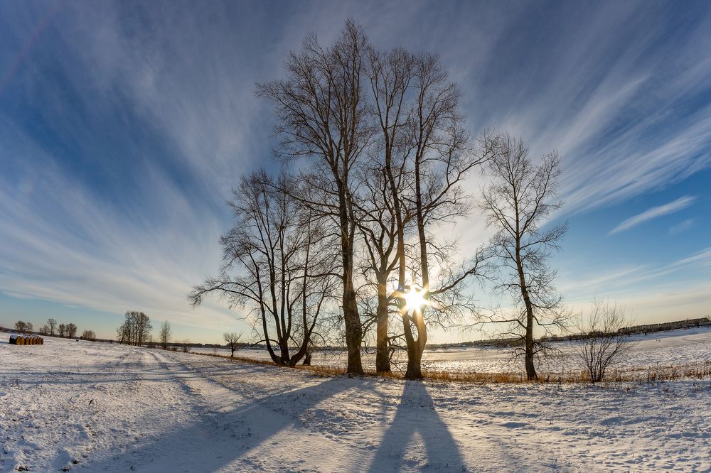 Photograph by Денис Григорьев