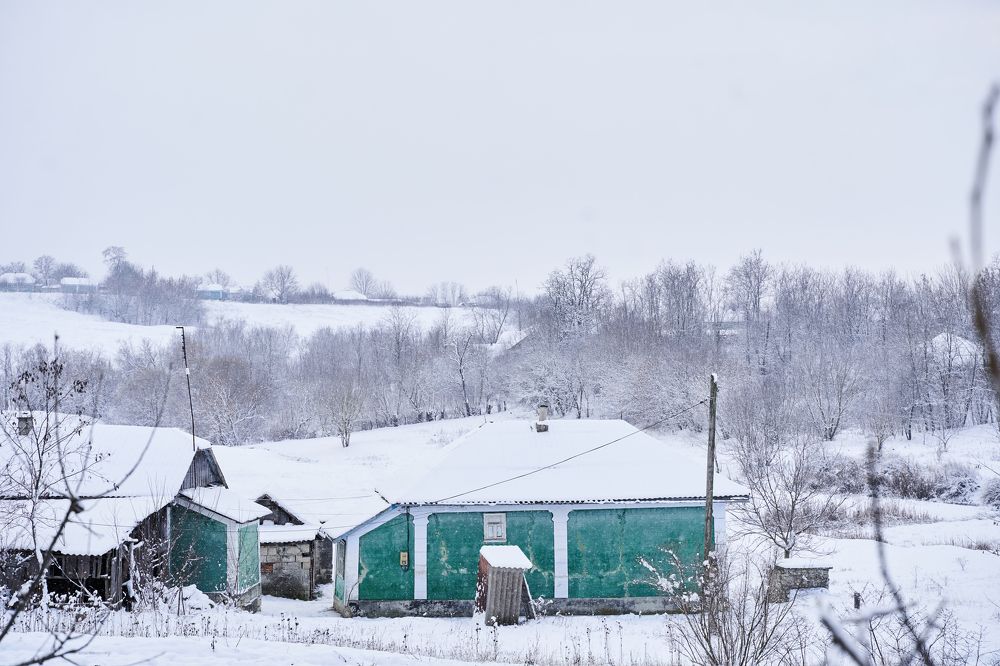 Photograph by Кристина Присакарь