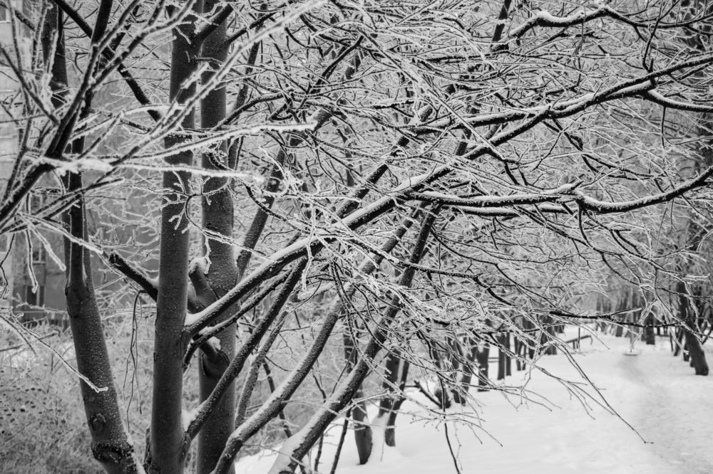 Photograph by Татьяна Новикова