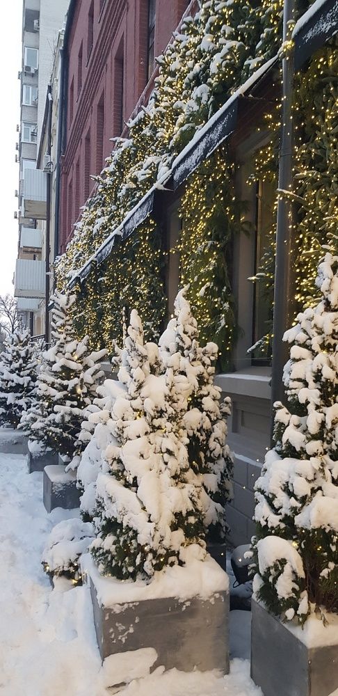 Фотография автора Ольга Мусина