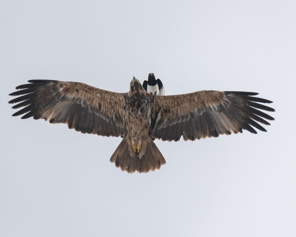 Photograph by Рамзан Давлетмирзаев