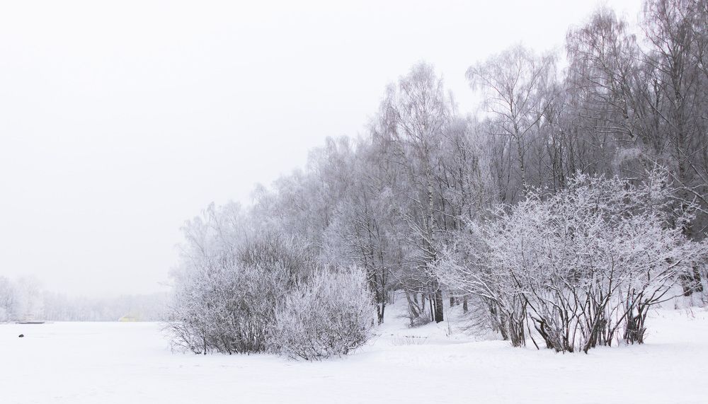 Photograph by Татьяна Новикова