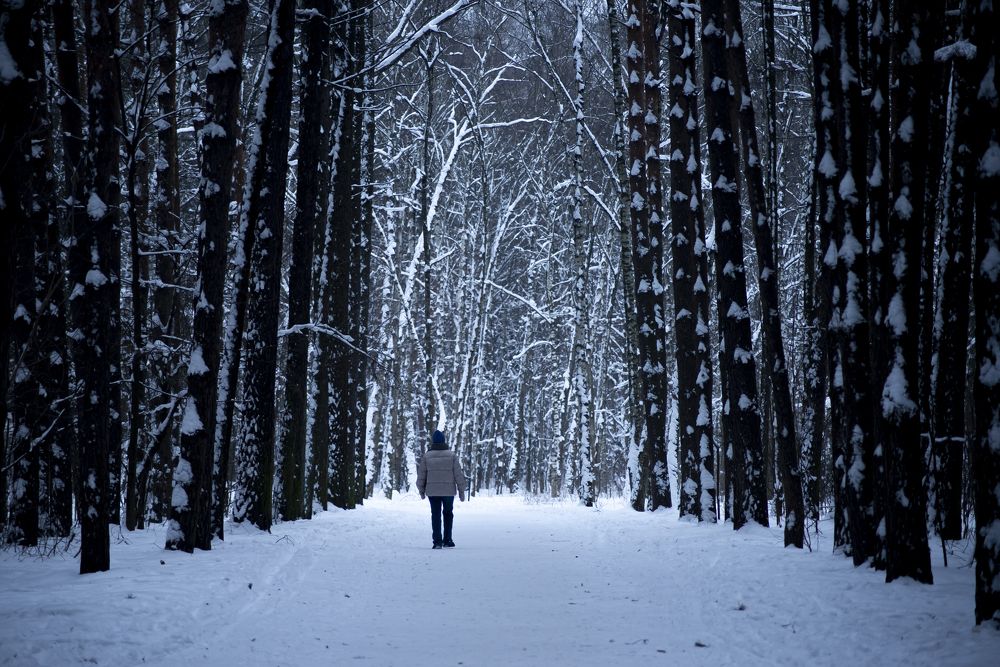 Photograph by Никита