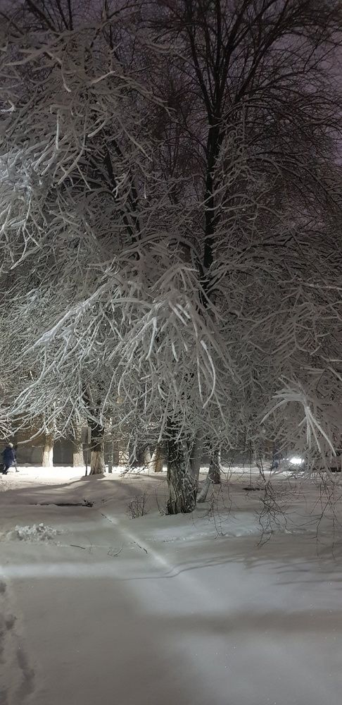 Фотография автора Ольга Мусина