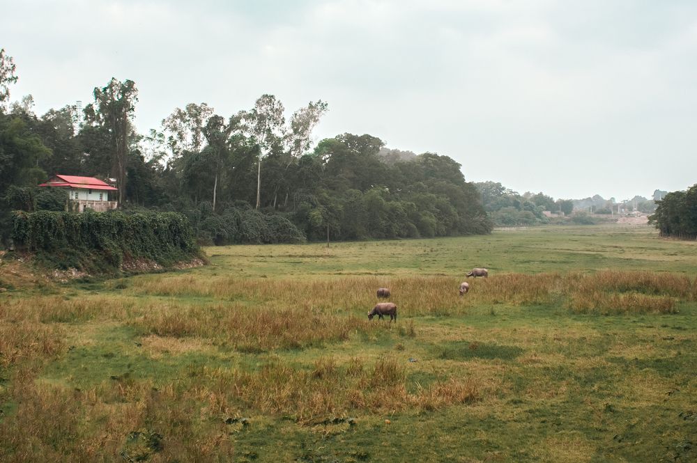 Фотография автора Nguyễn Minh