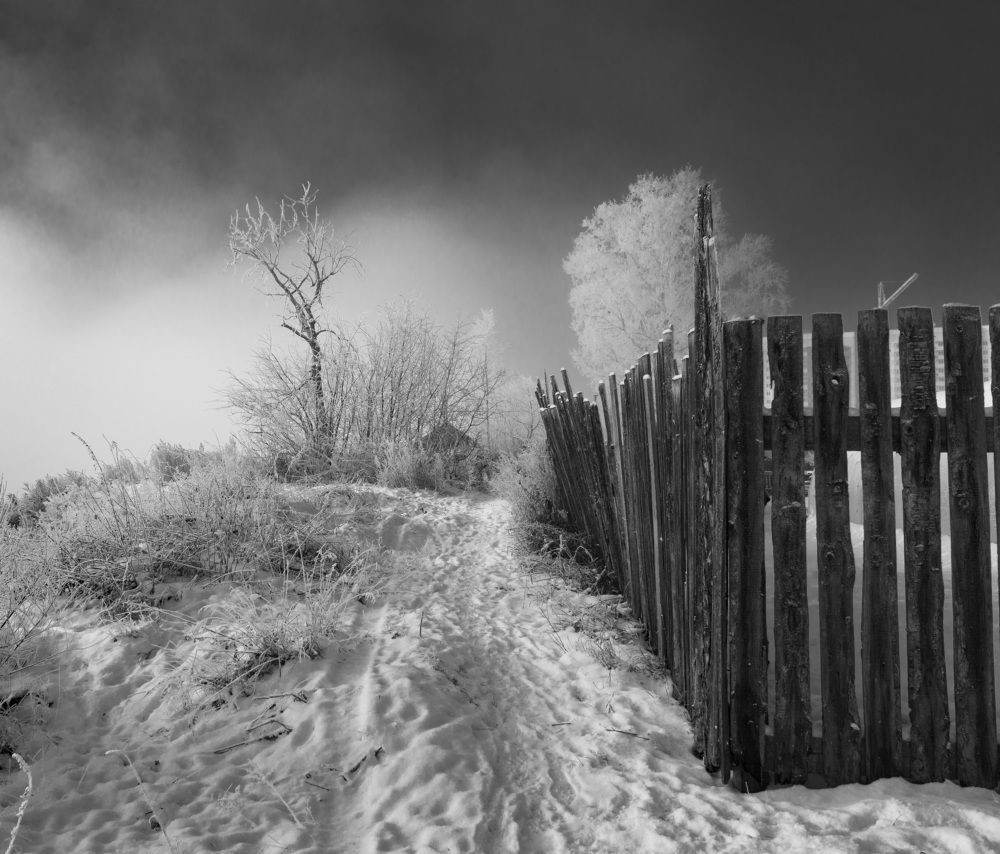 Photograph by Валерий Туманов