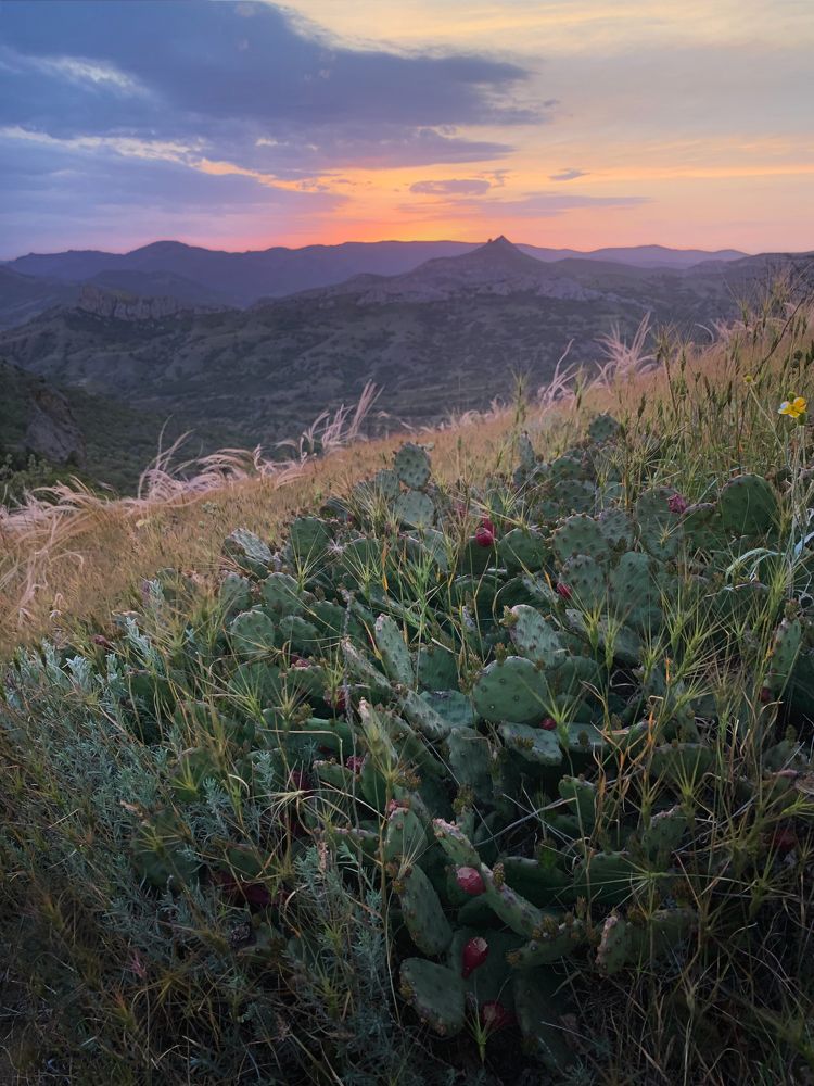 Photograph by Светлана Тарусских
