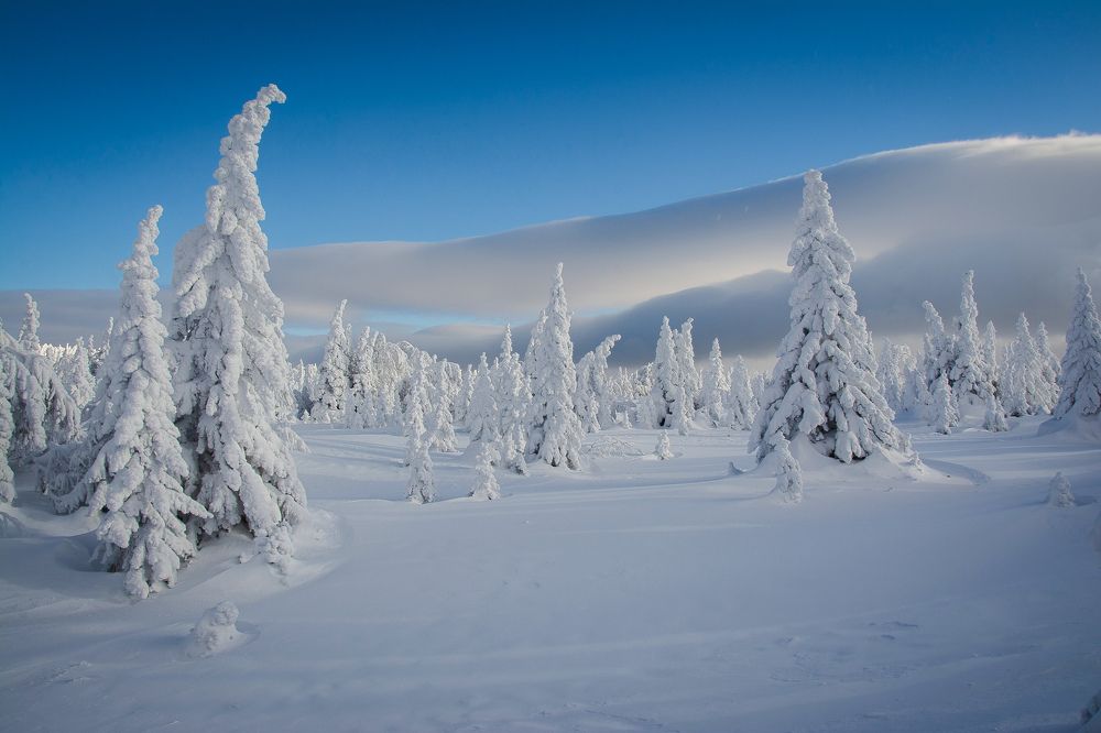 Photograph by Алексей Фетисов