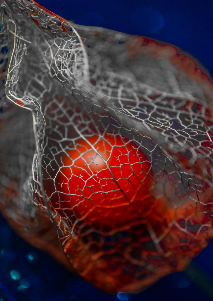 Photograph by Ирина Корабельникова