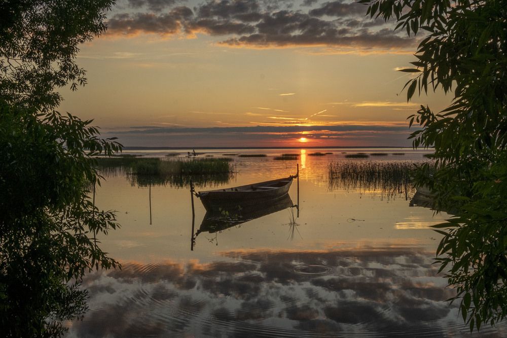 Photograph by Елена Маракулина